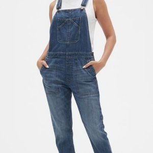 GAP Slouchy Overalls (XL)